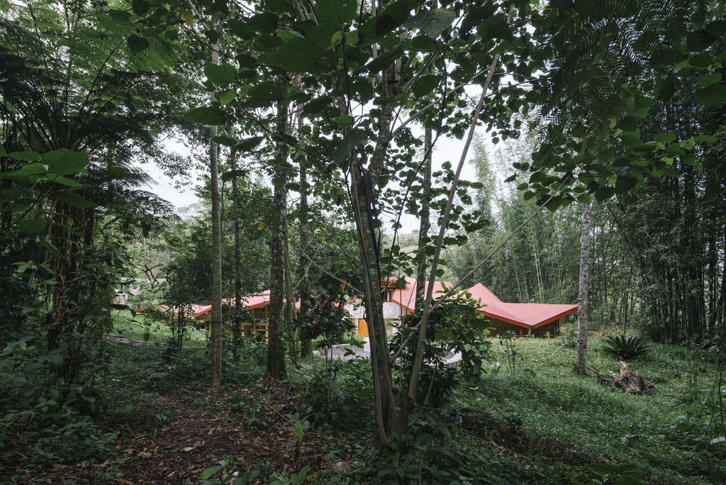 Hostal Tosepan Kali Куэцалан-дель-Прогресо Экстерьер фото